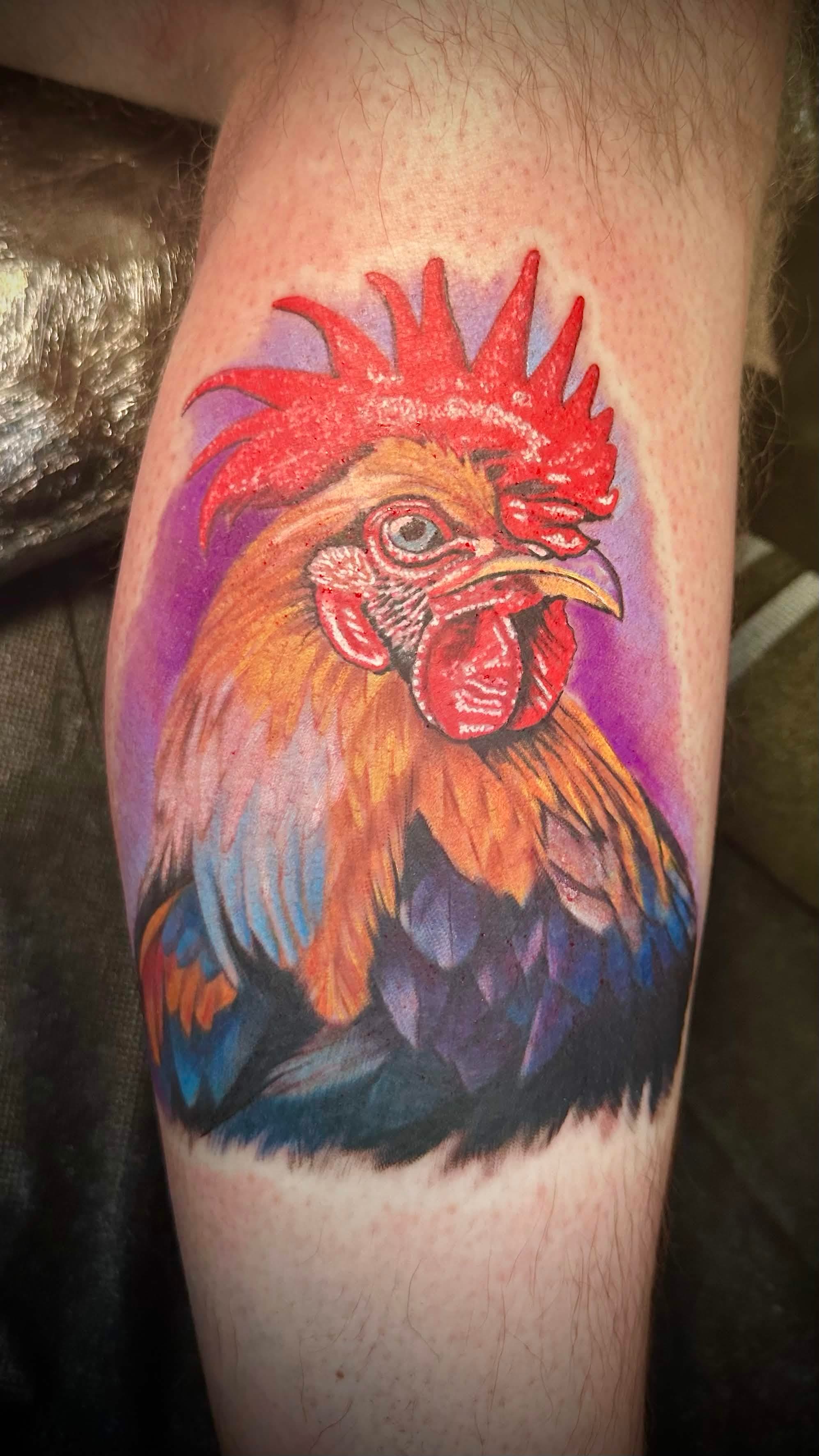 Rooster portrait — Full Color Realism tattoo on leg by Spade