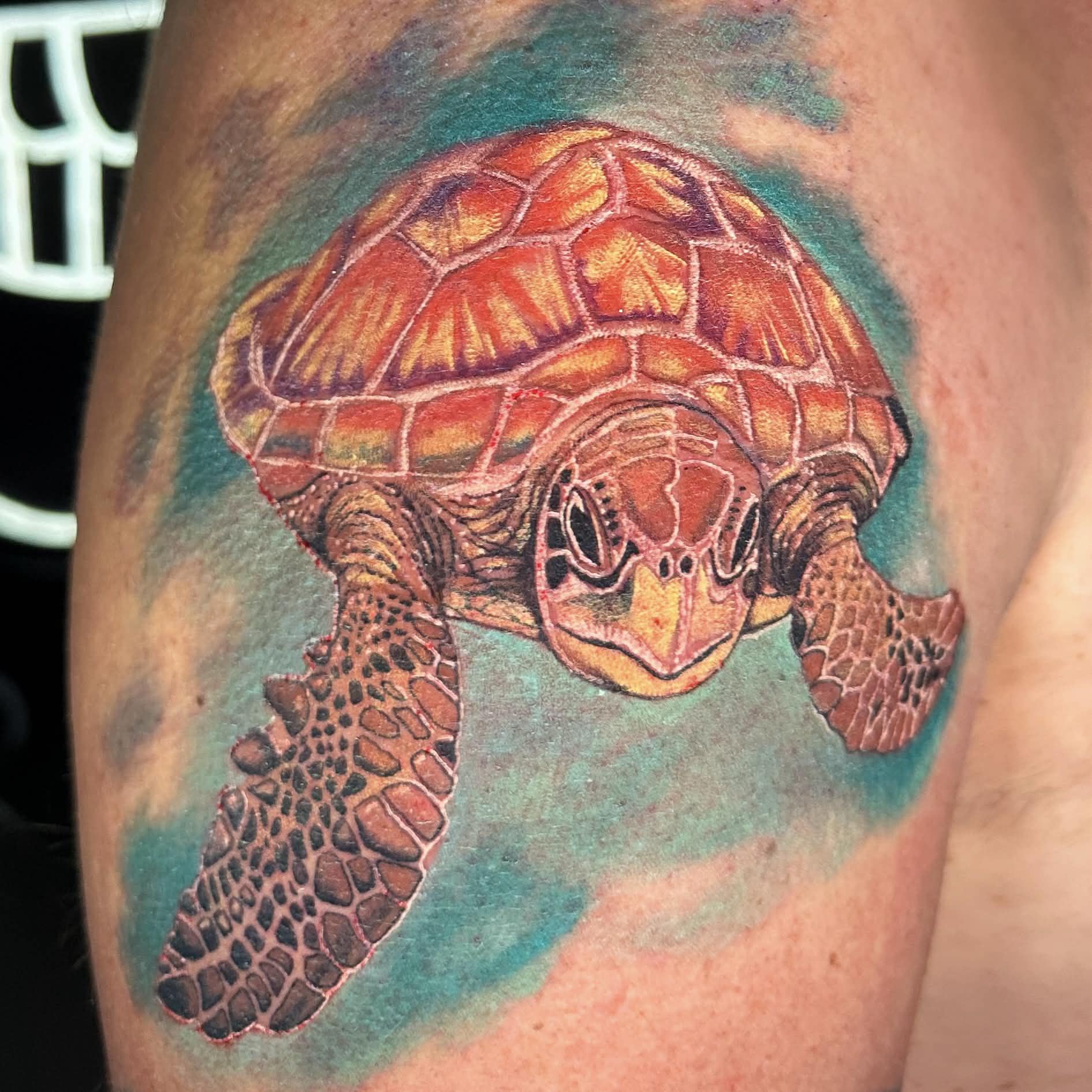 Hawaiian sea turtle — vibrant Color Realism tattoo, Waikīkī Hawaii